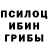 Псилоцибиновые грибы ЛСД Astrid Djek