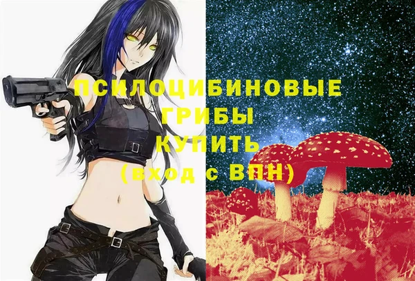 соль курить ск Гусев